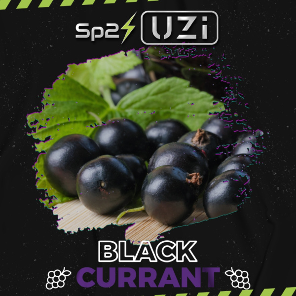 flavour_009blackcurrant-1024x1024