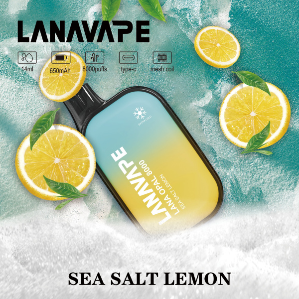 sea_salt_lemon_745643245